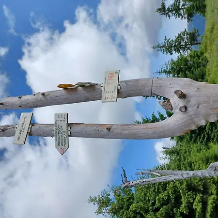 Ski&bike Sirena-7 By Interhome * جانسك لازني